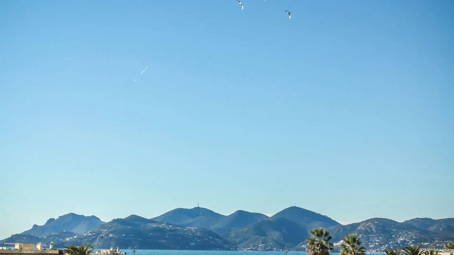 Villa Les Palmes Cannes 0*,